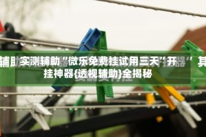 实测辅助“微乐免费挂试用三天”开挂神器{透视辅助}全揭秘