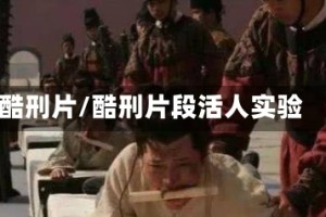 酷刑片/酷刑片段活人实验