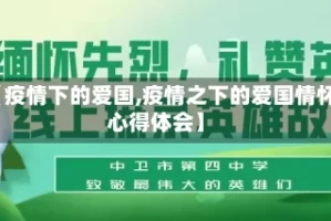 【疫情下的爱国,疫情之下的爱国情怀心得体会】
