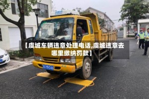 【虞城车辆违章处理电话,虞城违章去哪里缴纳罚款】