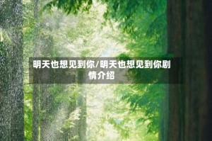 明天也想见到你/明天也想见到你剧情介绍