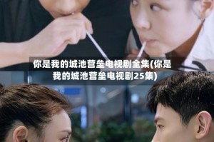 你是我的城池营垒电视剧全集(你是我的城池营垒电视剧25集)
