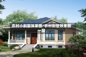 农村小别墅效果图/农村别墅效果图一层