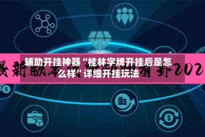 辅助开挂神器“桂林字牌开挂后是怎么样”详细开挂玩法