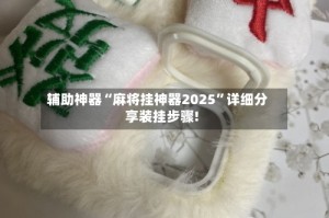 辅助神器“麻将挂神器2025”详细分享装挂步骤!