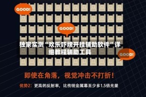 独家实测“欢乐吓牌开挂辅助软件”详细教程辅助工具