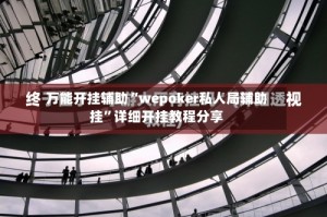 万能开挂辅助“wepoker私人局辅助挂”详细开挂教程分享