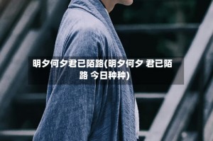 明夕何夕君已陌路(明夕何夕 君已陌路 今日种种)