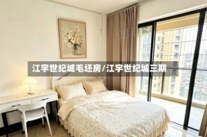 江宇世纪城毛坯房/江宇世纪城三期