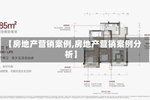 【房地产营销案例,房地产营销案例分析】