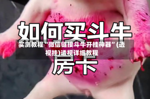 实测教程“微信链接斗牛开挂神器”(透视挂)透视详细教程