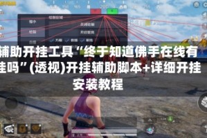 辅助开挂工具“终于知道佛手在线有挂吗”(透视)开挂辅助脚本+详细开挂安装教程