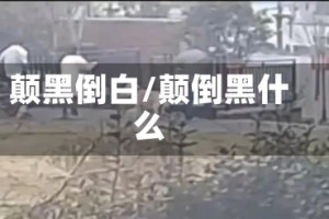 颠黑倒白/颠倒黑什么