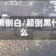 颠黑倒白/颠倒黑什么