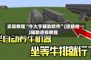 实操教程“牛大亨辅助软件”(透视挂)辅助透视教程