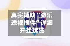 真实辅助“微乐透视插件”详细开挂玩法