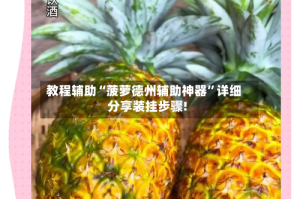 教程辅助“菠萝德州辅助神器”详细分享装挂步骤!