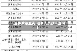 【返乡政策查询,返乡人员政策查询】