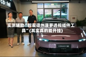 实测辅助“智星德州菠萝透视插件工具”(其实真的能开挂)