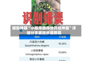 辅助神器“小程序跑得快开挂神器”详细分享装挂步骤教程