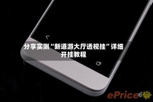 分享实测“新道游大厅透视挂”详细开挂教程