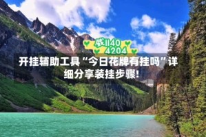 开挂辅助工具“今日花牌有挂吗”详细分享装挂步骤!