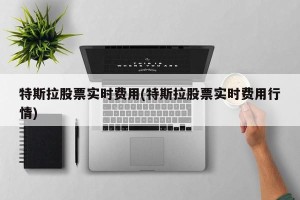 特斯拉股票实时费用(特斯拉股票实时费用行情)