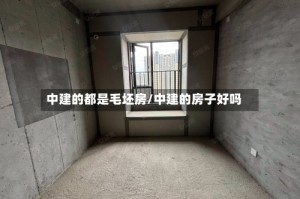 中建的都是毛坯房/中建的房子好吗
