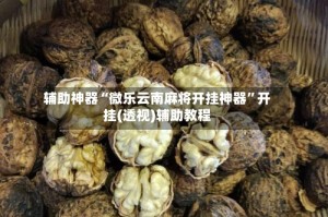 辅助神器“微乐云南麻将开挂神器”开挂(透视)辅助教程