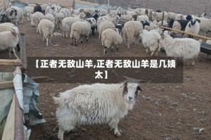 【正者无敌山羊,正者无敌山羊是几姨太】