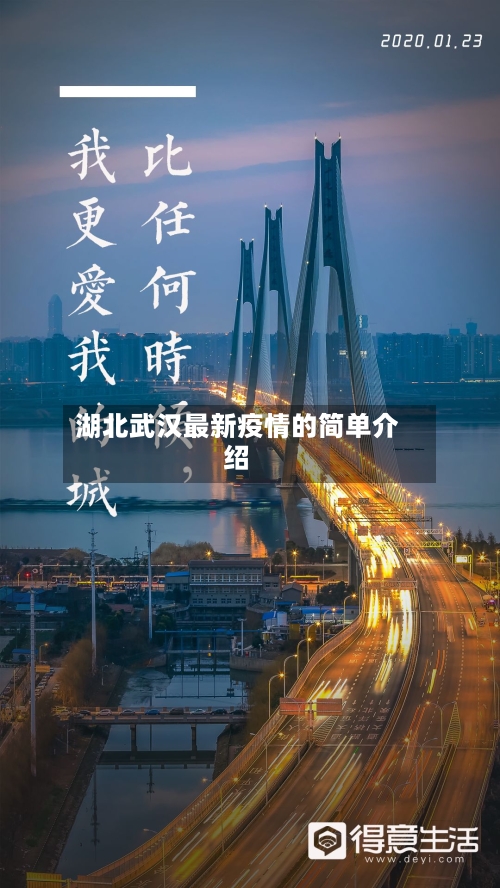 湖北武汉最新疫情的简单介绍-第1张图片