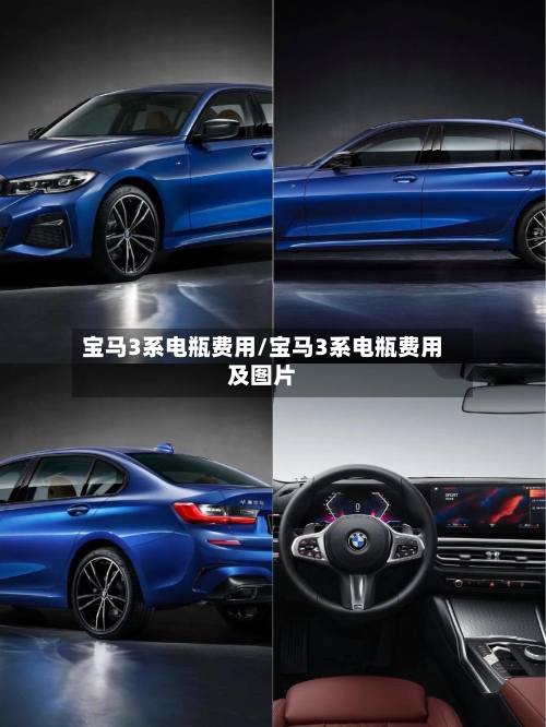 宝马3系电瓶费用/宝马3系电瓶费用及图片-第2张图片