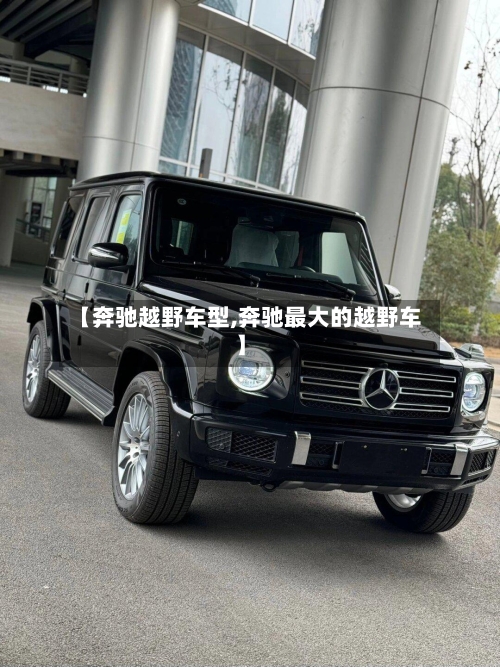 【奔驰越野车型,奔驰最大的越野车】-第2张图片