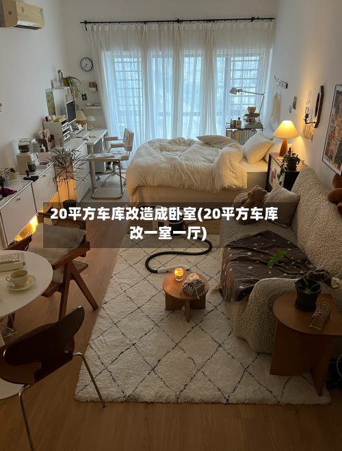 20平方车库改造成卧室(20平方车库改一室一厅)-第2张图片