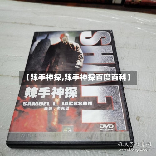 【辣手神探,辣手神探百度百科】-第1张图片