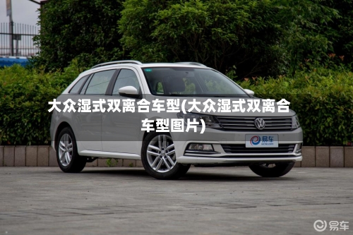 大众湿式双离合车型(大众湿式双离合车型图片)-第2张图片