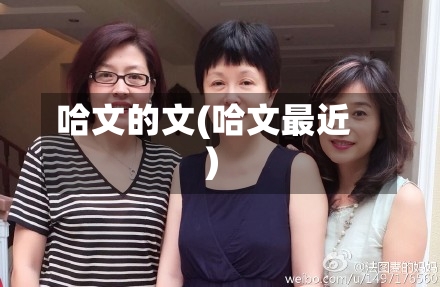 哈文的文(哈文最近)-第1张图片