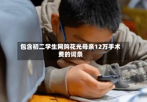 包含初二学生网购花光母亲12万手术费的词条-第2张图片