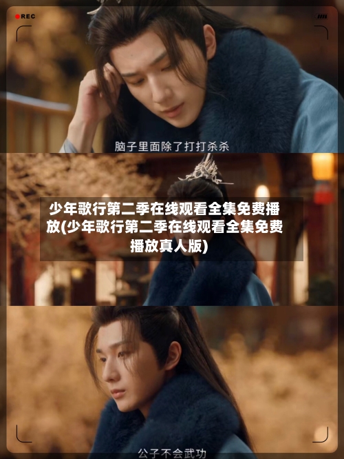 少年歌行第二季在线观看全集免费播放(少年歌行第二季在线观看全集免费播放真人版)-第2张图片