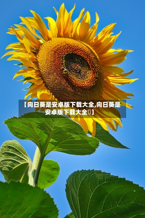 【向日葵是安卓版下载大全,向日葵是安卓版下载大全卍】-第1张图片