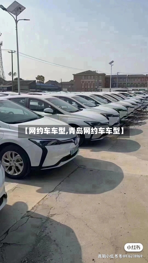 【网约车车型,青岛网约车车型】-第1张图片