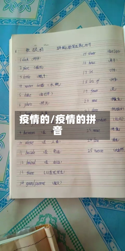 疫情的/疫情的拼音-第2张图片