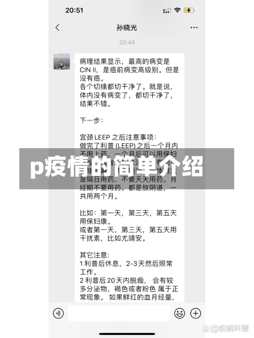 p疫情的简单介绍-第1张图片