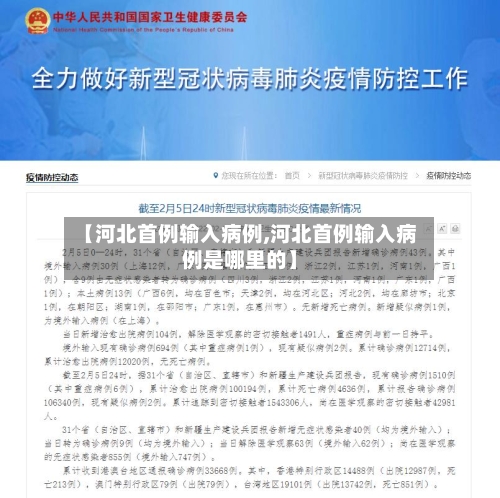 【河北首例输入病例,河北首例输入病例是哪里的】-第1张图片
