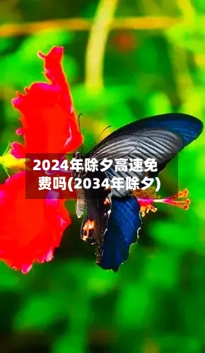 2024年除夕高速免费吗(2034年除夕)-第1张图片