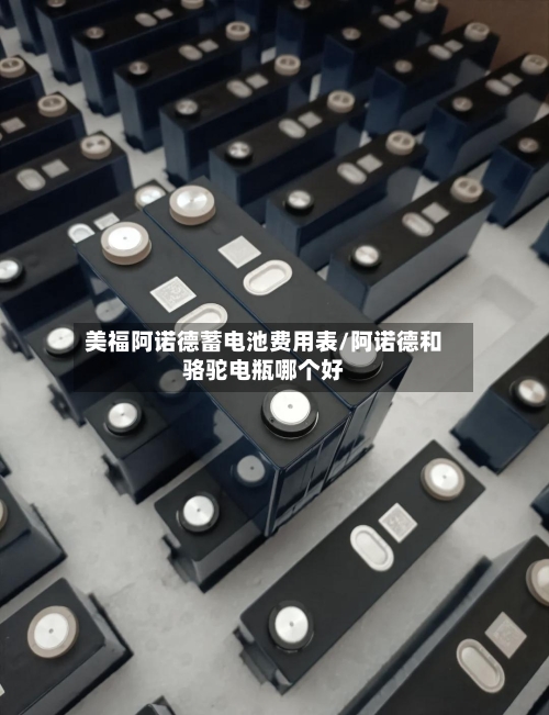 美福阿诺德蓄电池费用表/阿诺德和骆驼电瓶哪个好-第2张图片