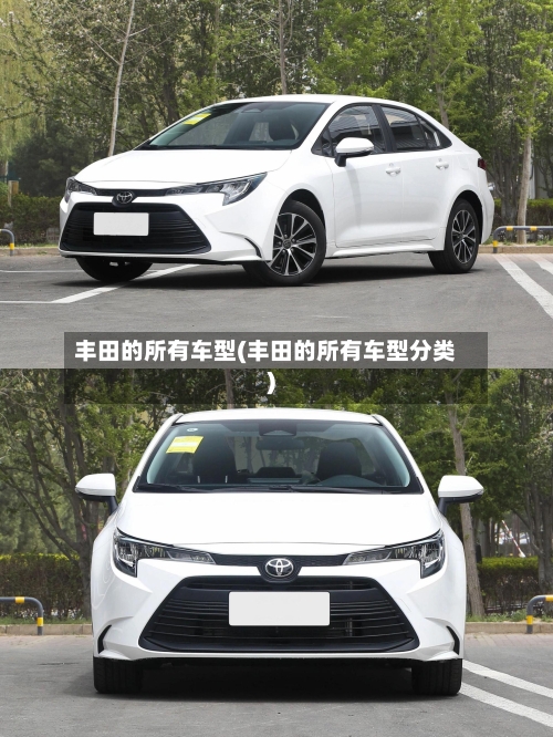 丰田的所有车型(丰田的所有车型分类)-第3张图片