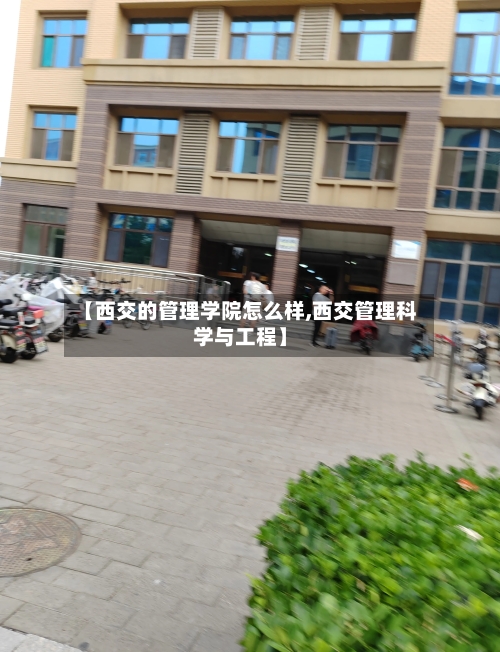 【西交的管理学院怎么样,西交管理科学与工程】-第3张图片