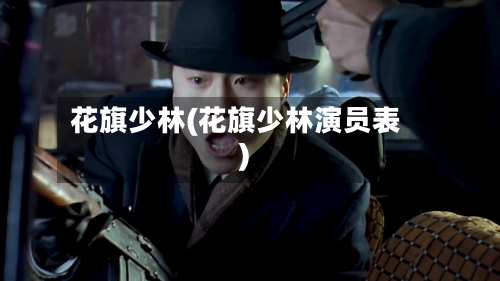 花旗少林(花旗少林演员表)-第2张图片