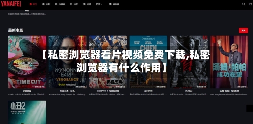 【私密浏览器看片视频免费下载,私密浏览器有什么作用】-第2张图片